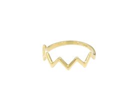 ring-88-kroon-geelgoud