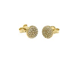 oorknoppen-rond-pave