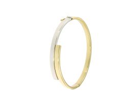 slavenband-vlak-bicolor