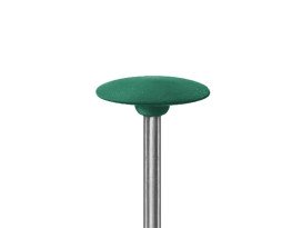 Slijprubber vogeltong_9621