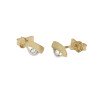 oorknoppen-fantasie-zirkonia-1