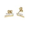 oorknoppen-fantasie-zirkonia-2