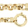 jasseron-hol-geelgoud-45-cm-5-mm