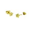 Oorsteker-diamant-ster-18karaat