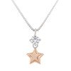 collier-bengelende-ster-bicolor