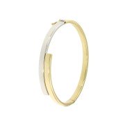 Slavenarmband vlak breed bicolor