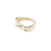 Ring 138 bicolor