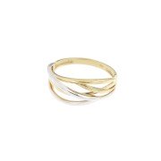 Ring 139 bicolor